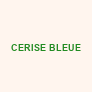 grossistes-cerise-bleuehtml Logo