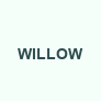 grossistes-willowhtml Logo